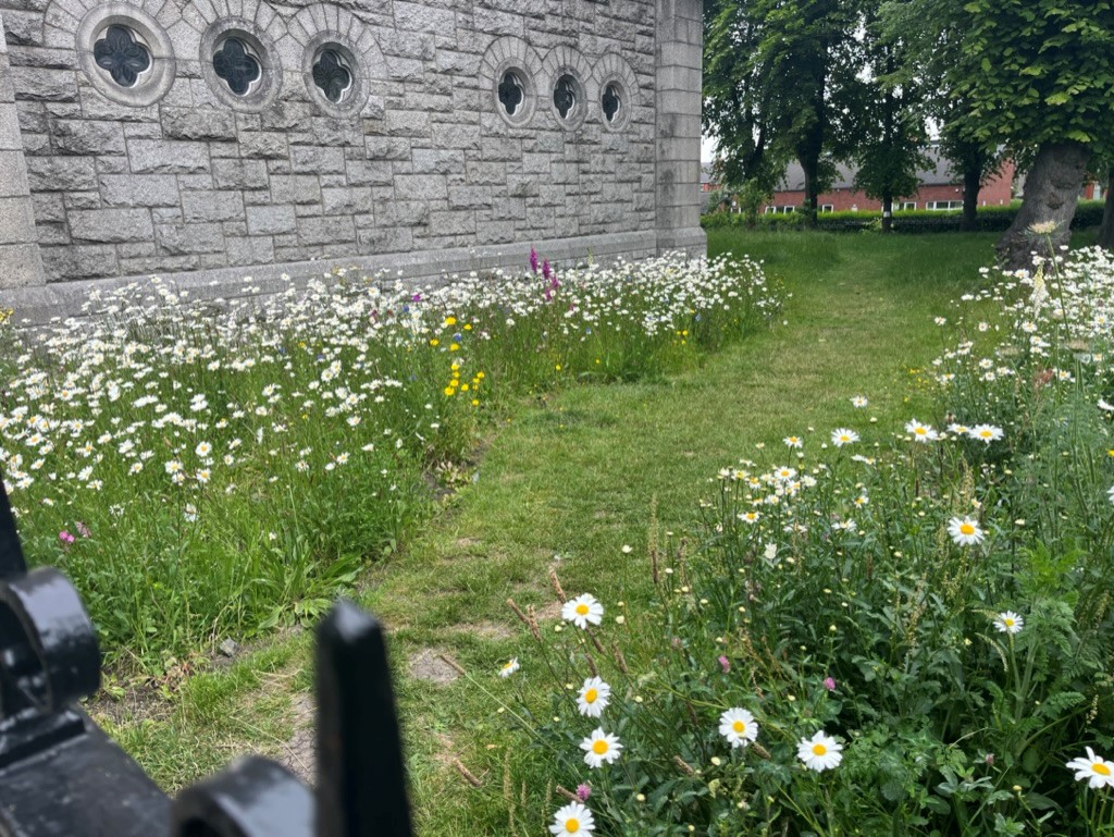 Children’s Summer Garden